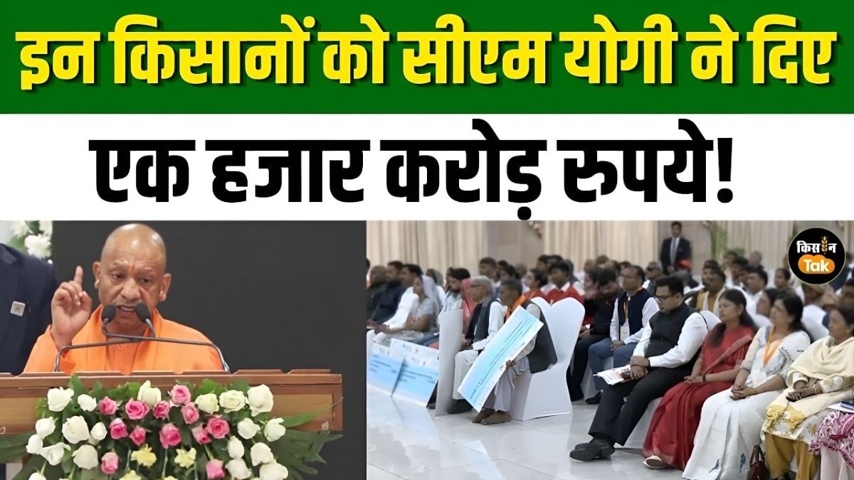 मुख्यमंत्री कृषक दुर्घटना बीमा