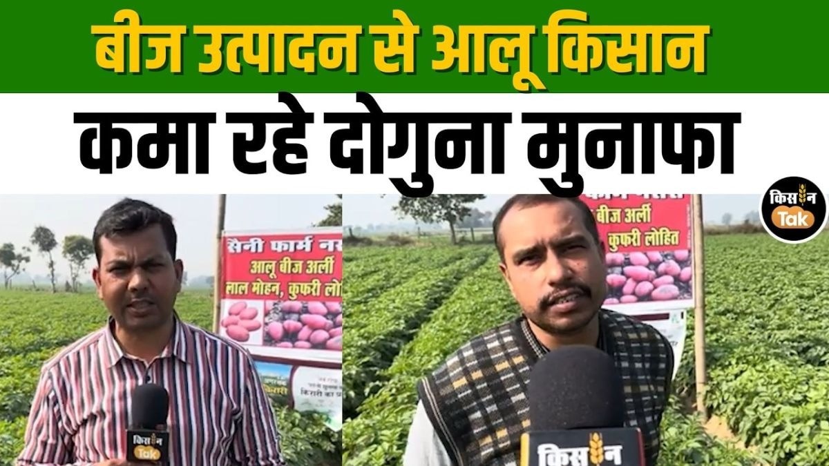 बीज उत्पादन