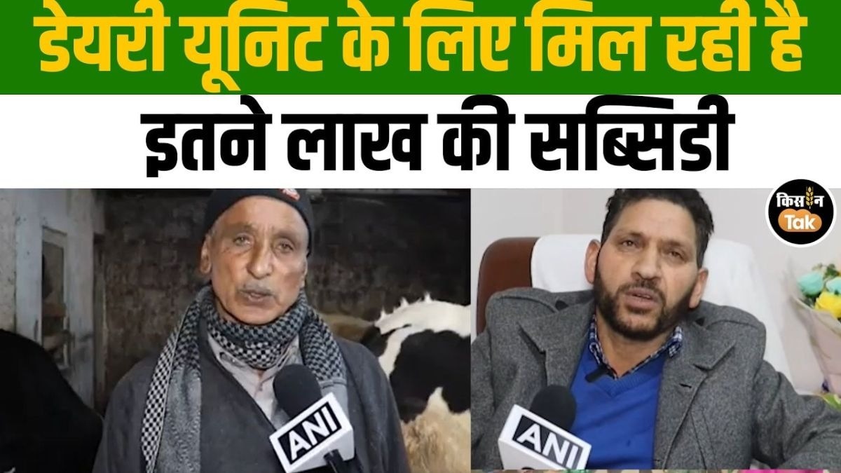 पशुपालन और डेयरी सेक्टर से बढ़ेगी किसानों की आय, डेयरी यूनिट्स पर सब्सिडी