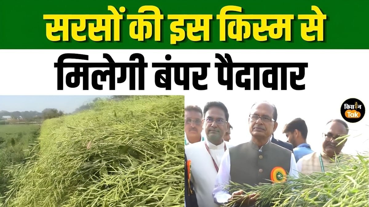 शिवराज सिंह