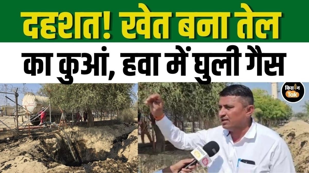 Barmer में क्रूड ऑयल रिसाव से किसान परेशान, देखें कैसे खेत बना तेल का कुंआ! 