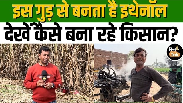 अब गुड़ से बनेगा इथेनॉल, किसानों ने बदल दी पारंपरिक गुड़ उद्योग की दिशा