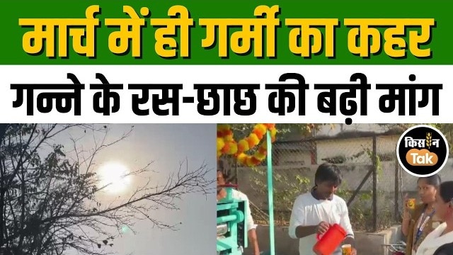 Akola weather news