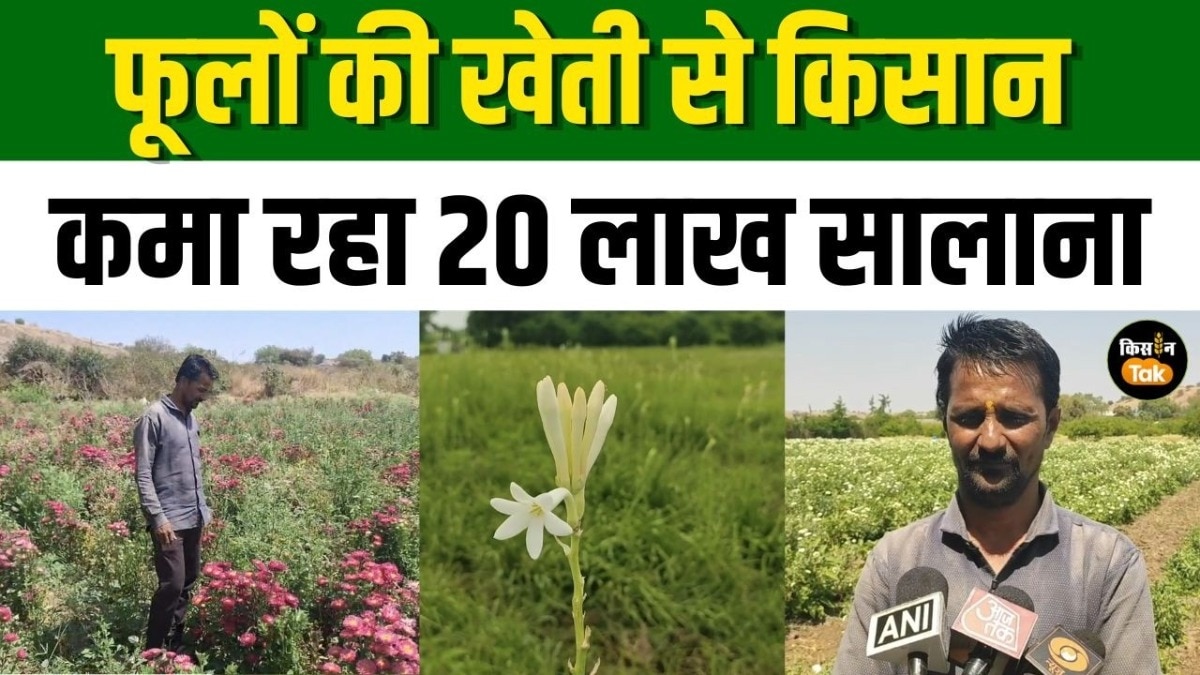 लैवेंडर, गुलाब और रजनीगंधा की खेती से किसान कमा रहे लाखों, 8 एकड़ में सफल प्रयोग