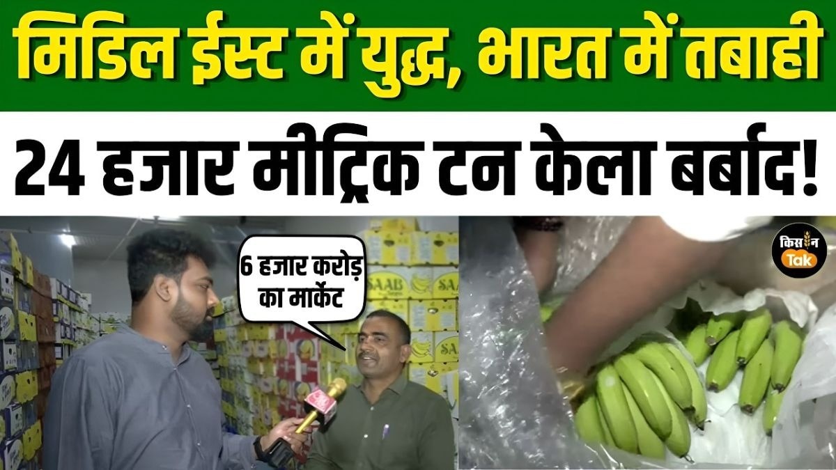 Middle East War से भारत में 6 हजार करोड़ का बाजार प्रभावित, किसानों एक्सपोर्टरों की बढ़ी चिंता