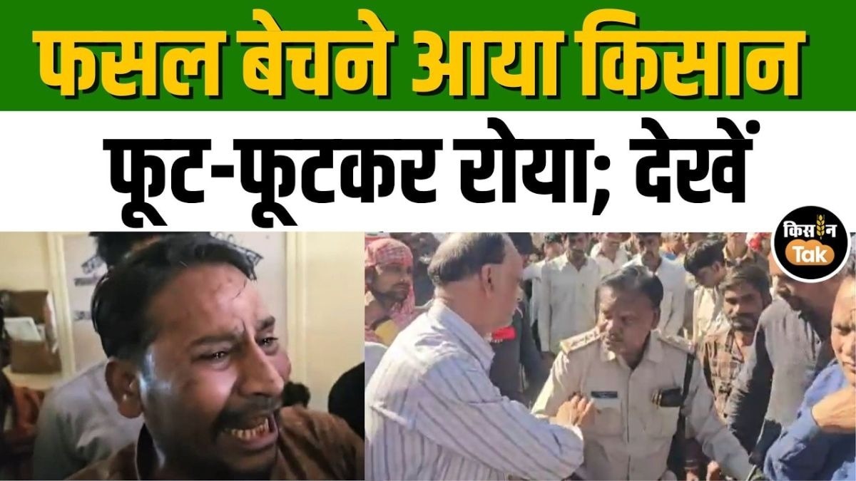 शराबी मंडी इंस्पेक्टर ने किसान को रोने पर किया मजबूर, हुआ भारी बवाल