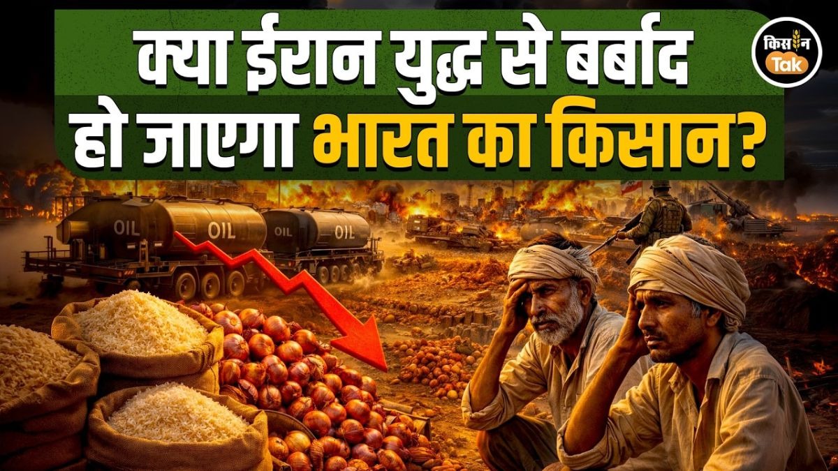 Iran युद्ध का भारतीय किसानों पर असर! क्यों गिर रहे बासमती और प्याज के दाम?