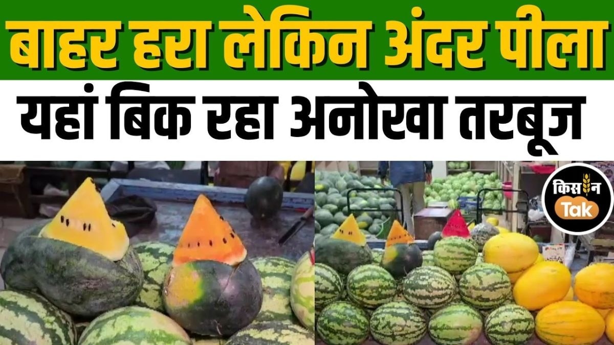 अनोखा तरबूज