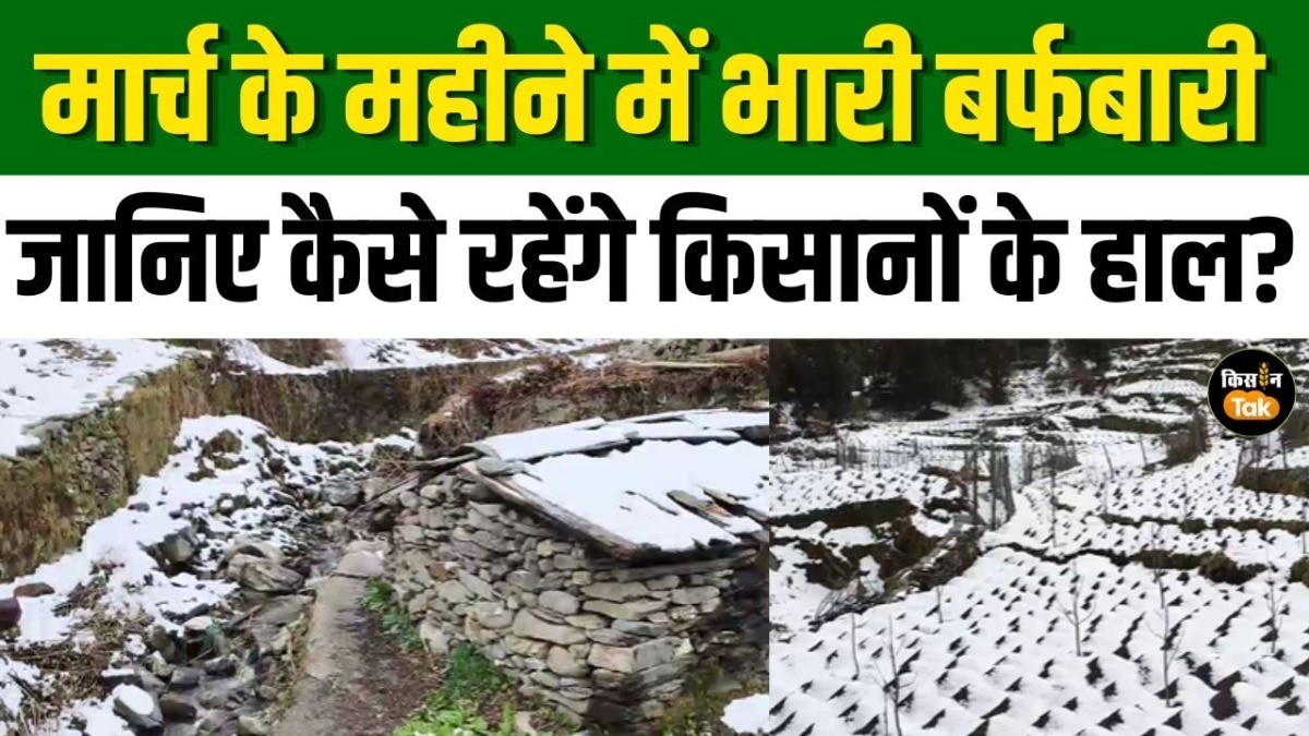 टिहरी में लगातार बर्फबारी से किसानों को राहत, फसलों और पर्यटन दोनों को फायदा
