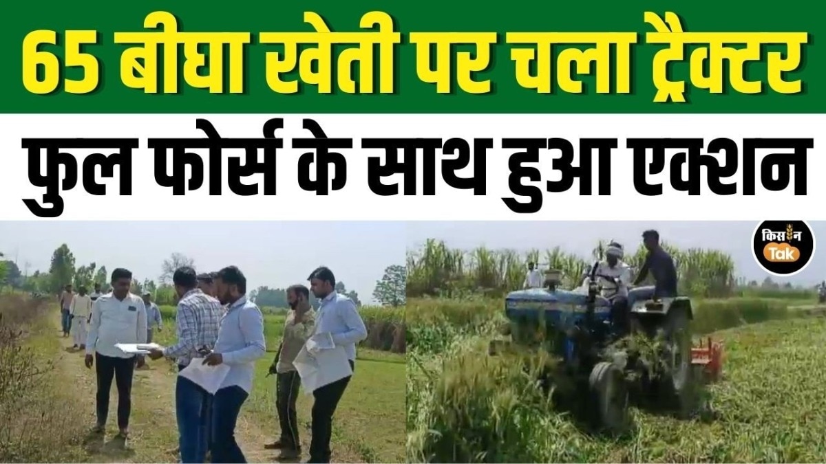 संभल में 65 बीघा सरकारी जमीन पर कब्जा, चरागाह खत्म होने से पशुपालक परेशान