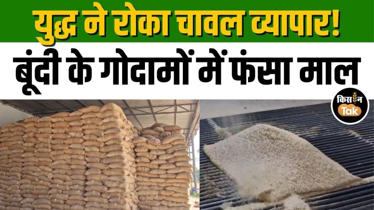 मिडिल ईस्ट War से बूंदी का चावल व्यापार ठप! गोदाम में फंसा करोड़ों का माल