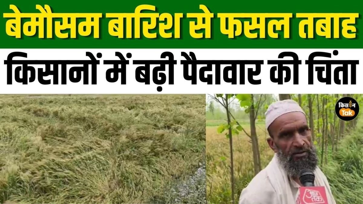बारिश से टूटी किसानों की कमर