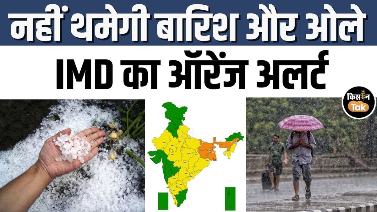 कैसा रहेगा मौसम का हाल