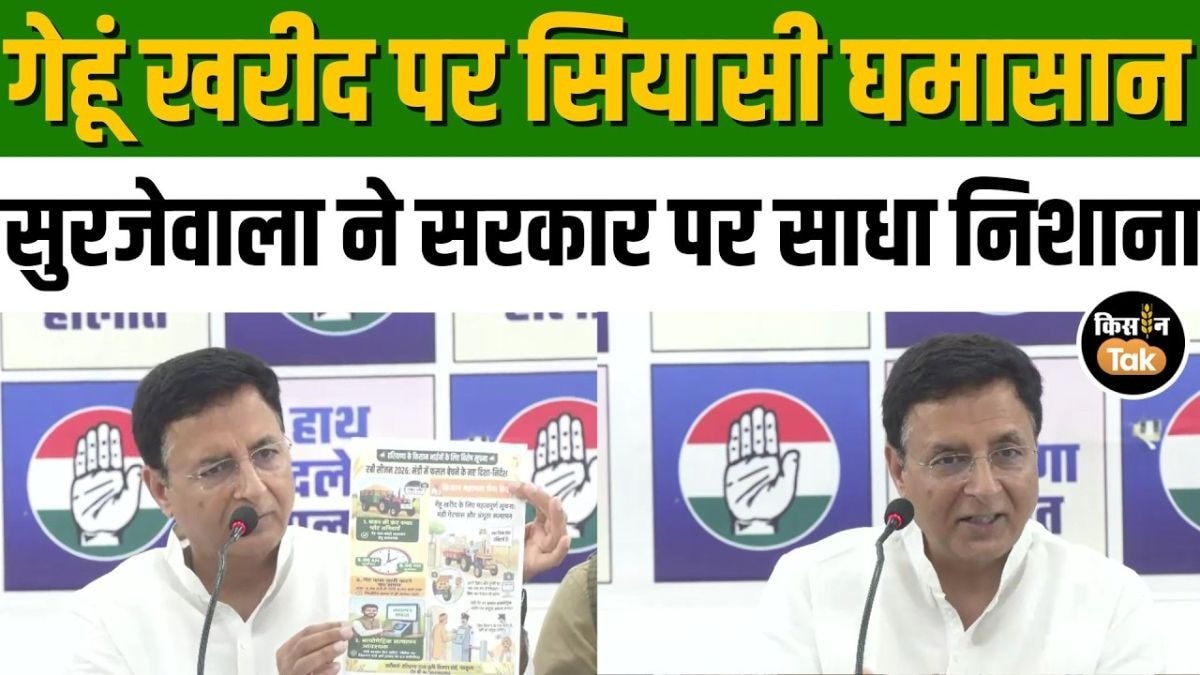 हरियाणा में गेहूं खरीद पर सियासी बवाल! रणदीप सुरजेवाला ने सरकार पर साधा निशाना