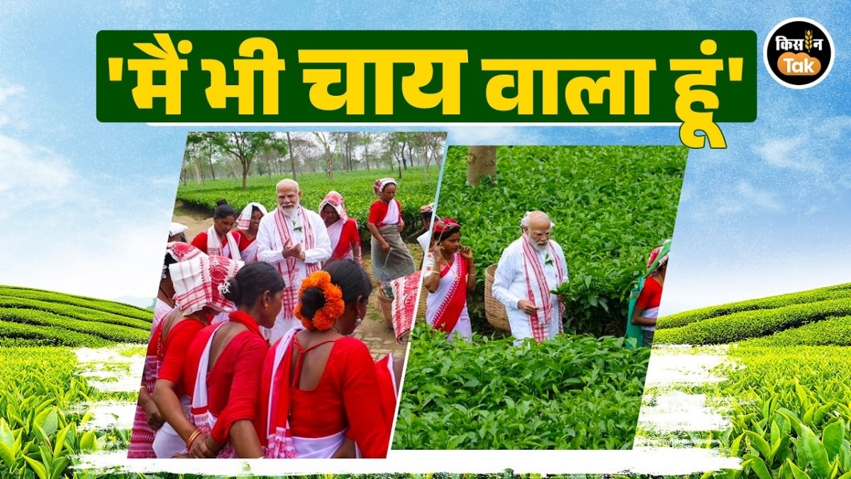 असम में पीएम मोदी ने चाय बागान मजदूरों से की मुलाकात, बोले—मैं भी चाय वाला हूं