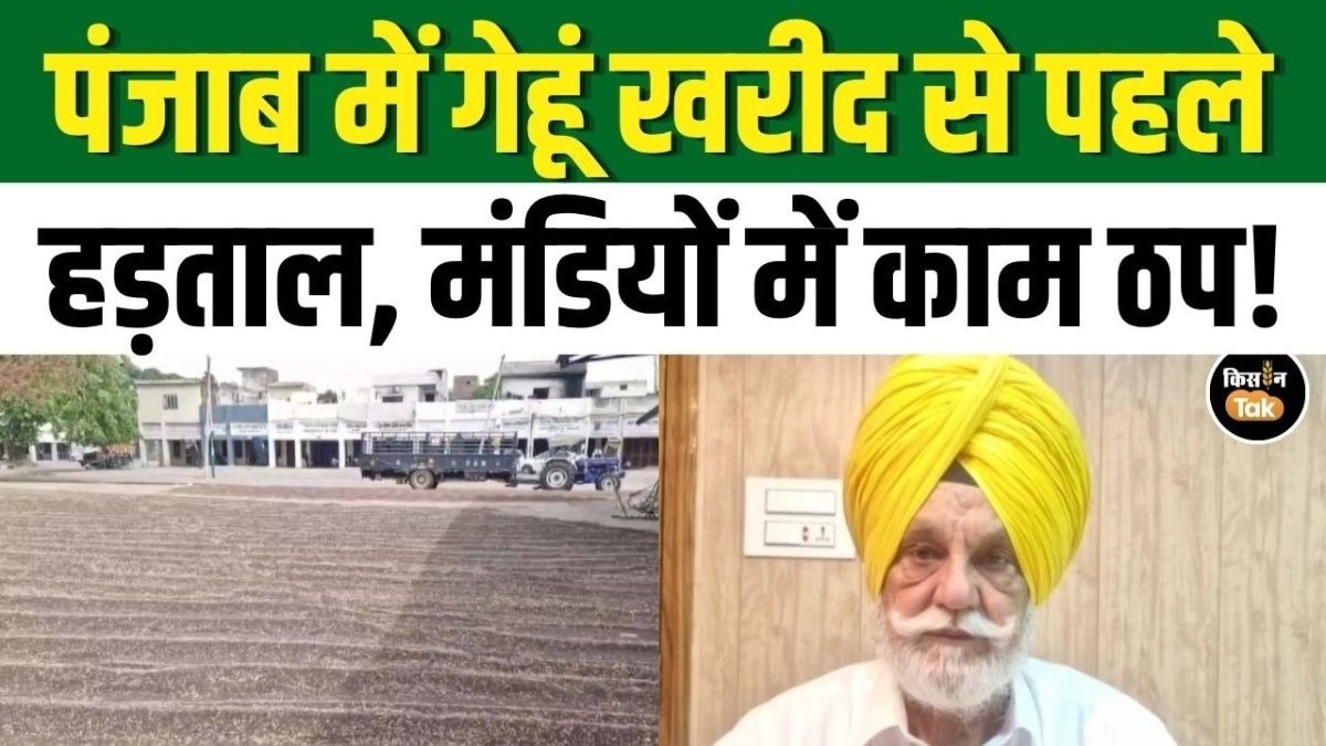गेहूं खरीद से पहले बड़ा झटका