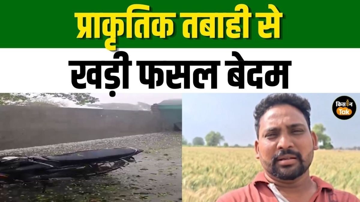 फसलों को नुकसान