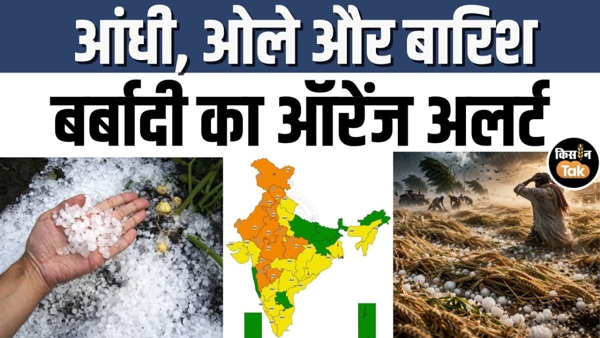 कैसा रहेगा मौसम का हाल