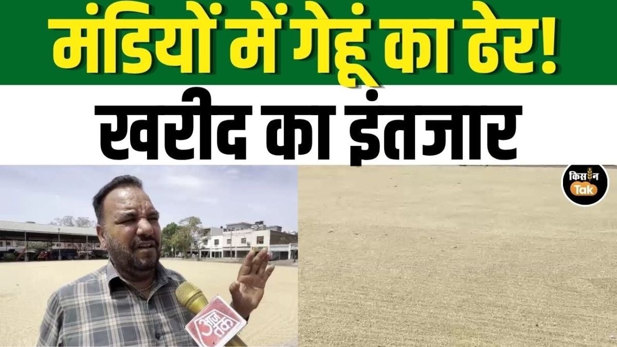 पंजाब के आढ़तियों का बड़ा ऐलान! 45 रुपये फॉर्मूला खारिज, पुरानी कमीशन की मांग तेज