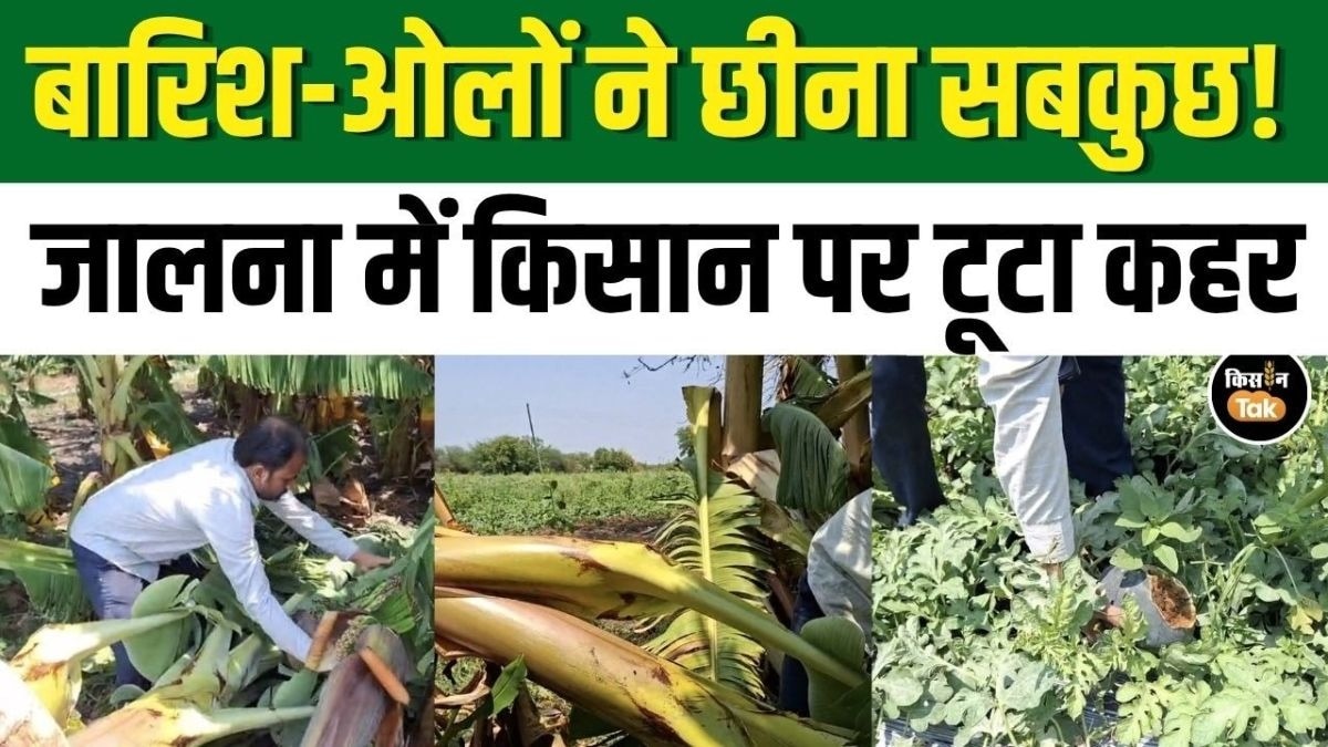 जालना में मौसम का कहर