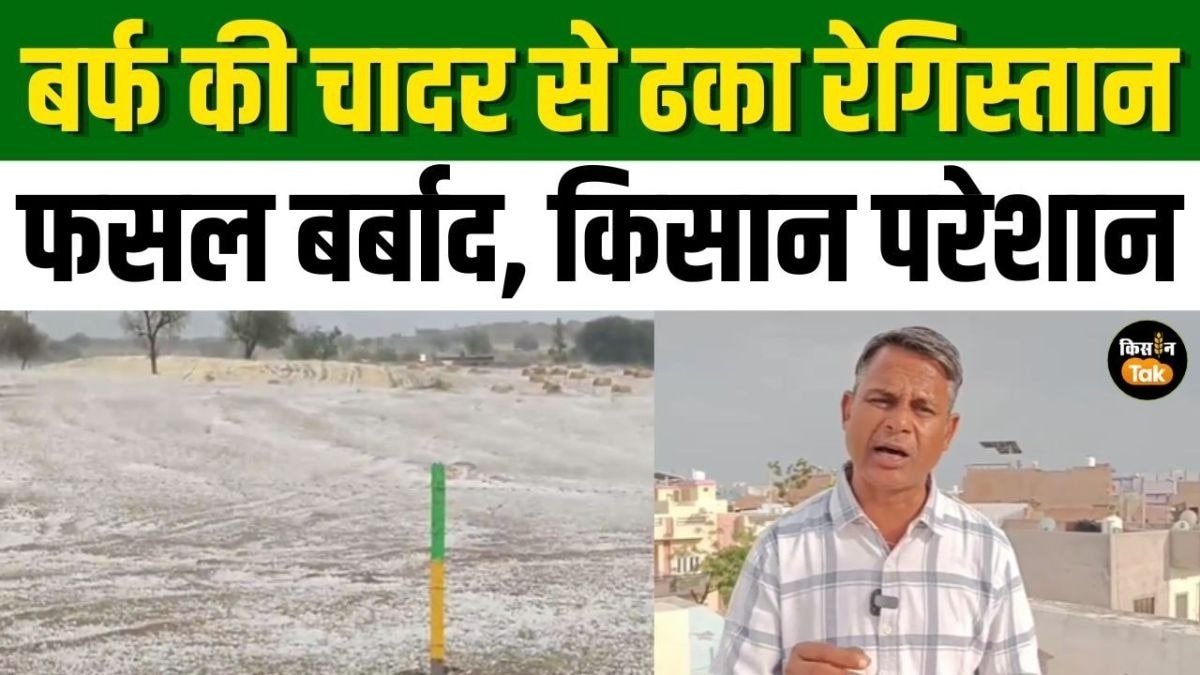 खड़ी खेती पर कुदरत का कहर