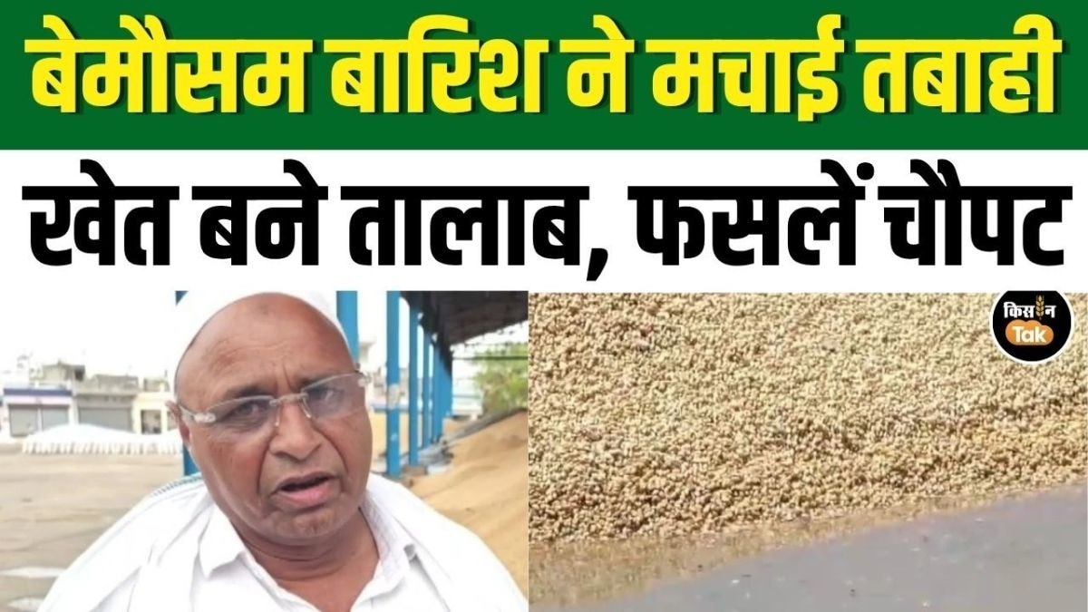 बेमौसम बारिश