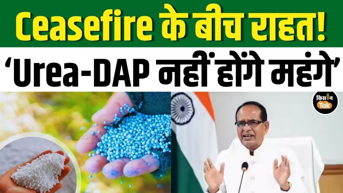 खाद संकट पर शिवराज सिंह चौहान का बड़ा बयान, किसानों पर नहीं पड़ेगा खाद महंगाई का बोझ