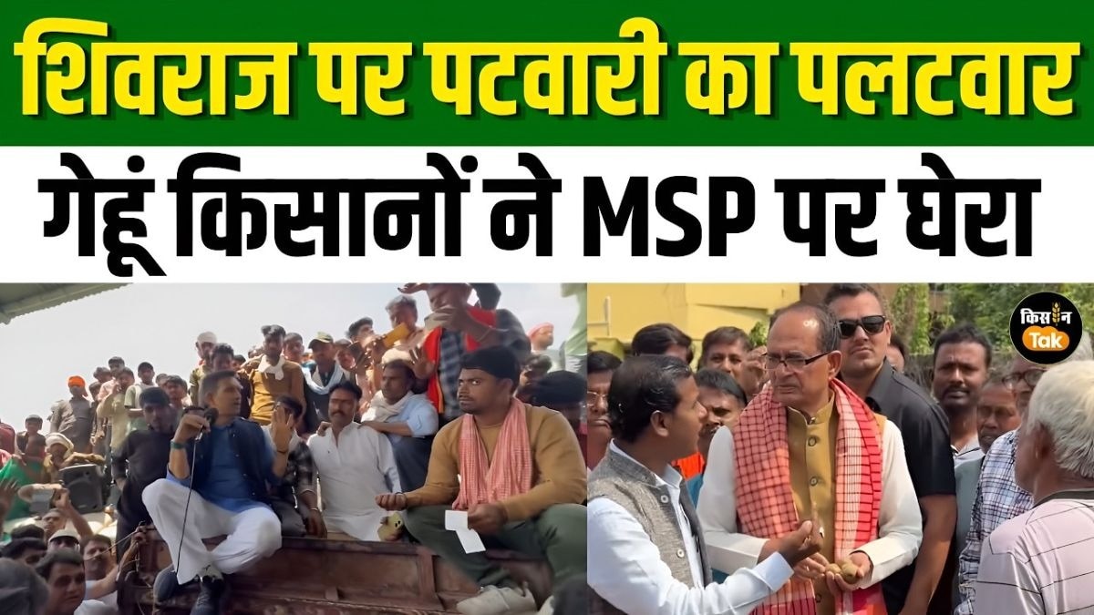 शिवराज सिंह की पोस्ट के बाद जीतू पटवारी का पलटवार, बंगाल किसानों की समस्या पर कृषि मंत्री से सवाल