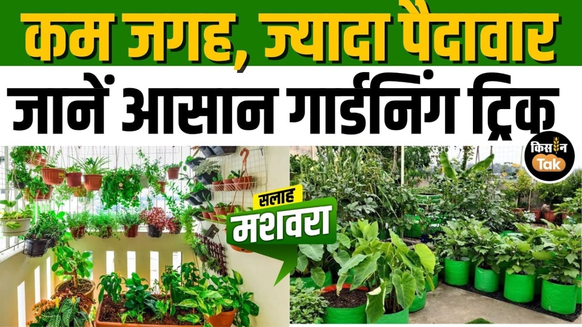 Raised bed gardening tips