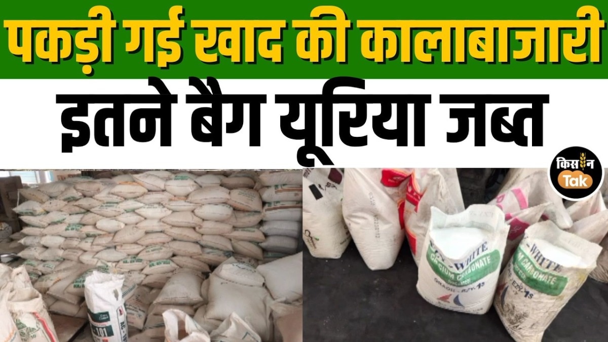 Bhiwadi urea black marketing