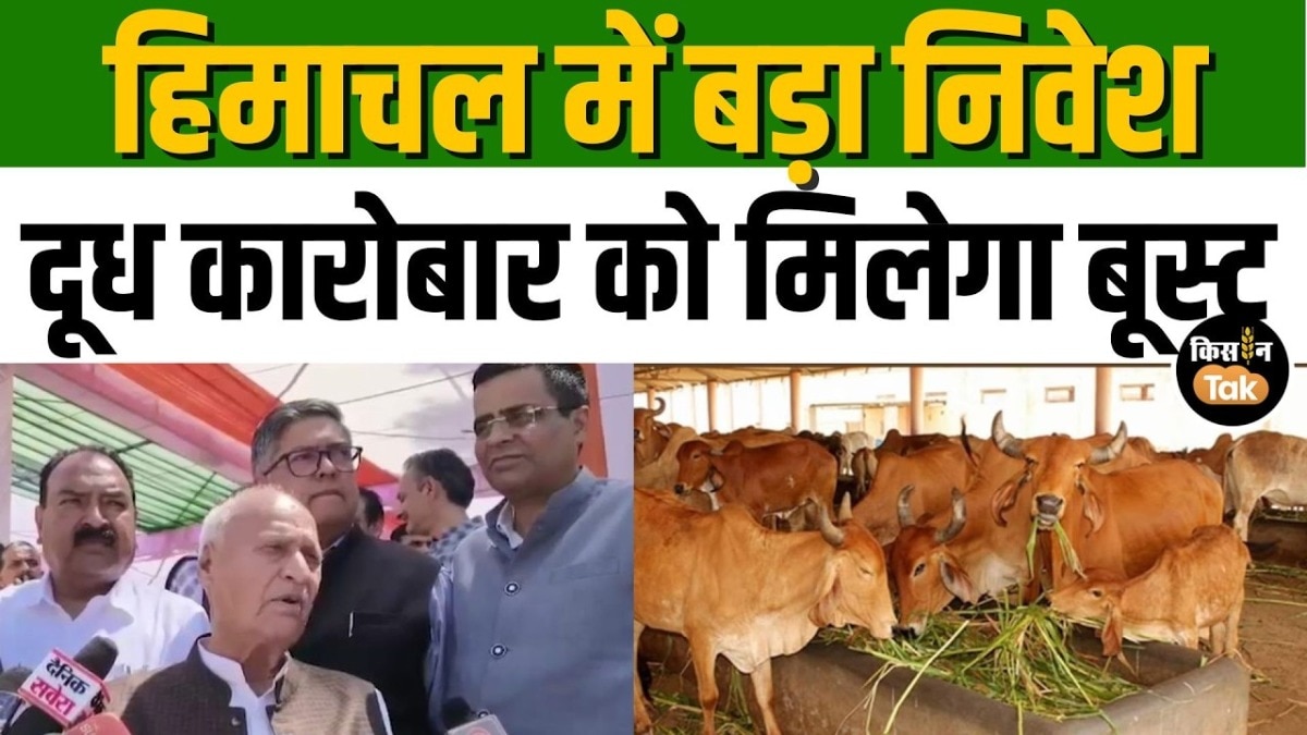 कांगड़ा में 225 करोड़ का अत्याधुनिक मिल्क प्लांट बनेगा, CM सुक्खू का ऐलान