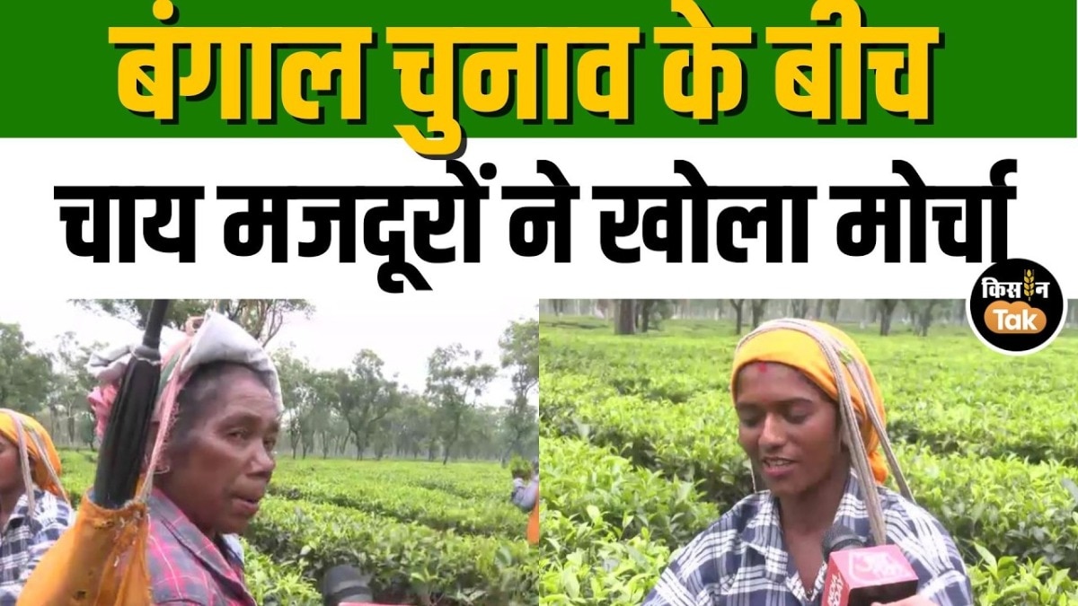 बंगाल चुनाव में गूंजा चाय बागान मजदूरों का मुद्दा, दिहाड़ी बढ़ाने की मांग तेज