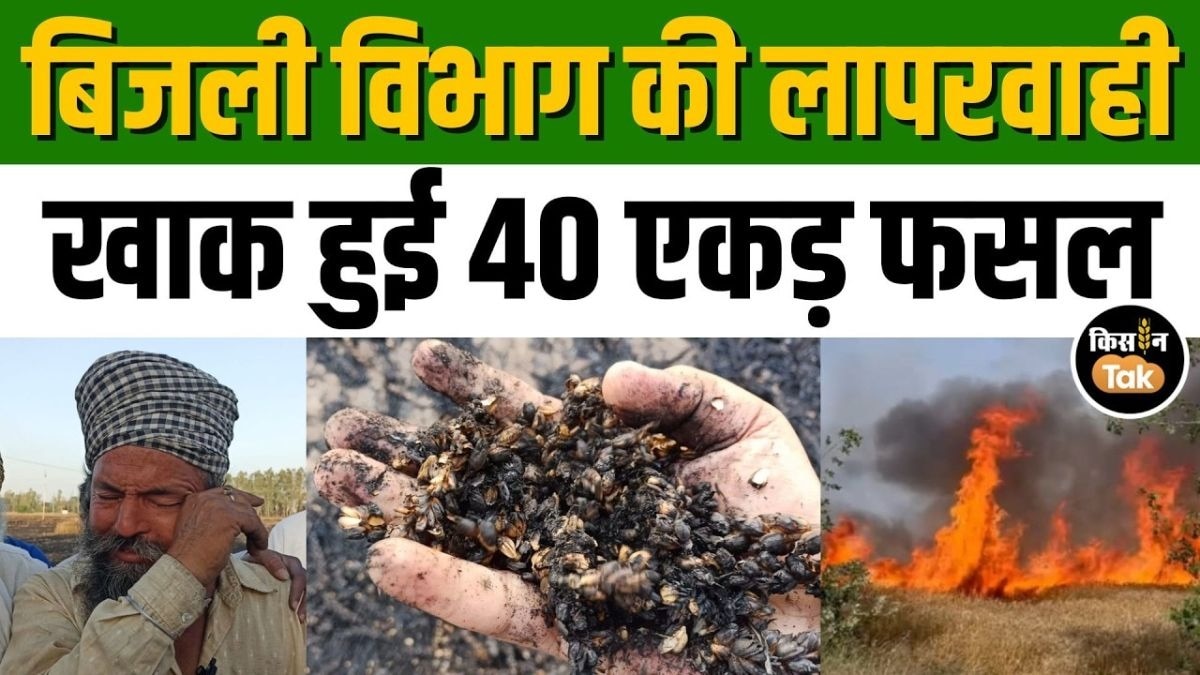 गेहूं के खेत में लगी भीषण आग, किसानों का इतने लाख का हुआ नुकसान