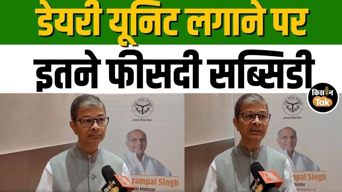 UP में डेयरी खोलने का सही समय! सरकार की Mega Subsidy Scheme
