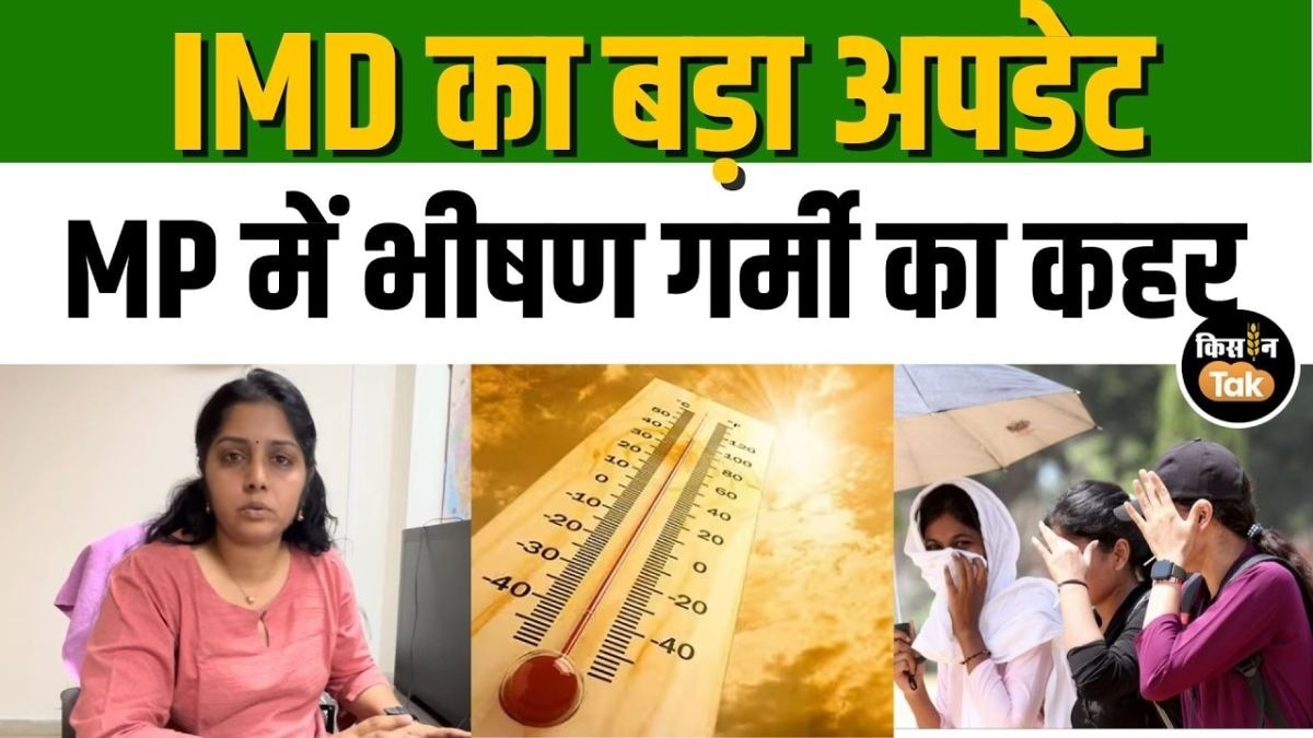 मध्य प्रदेश में लू का अलर्ट, इन जिलों में पड़ेगी सबसे ज्यादा गर्मी