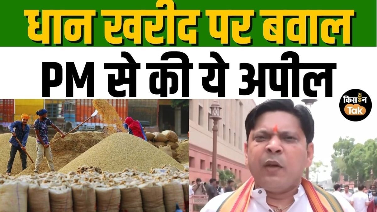 “आत्महत्या नहीं, आंदोलन करेंगे” धान खरीदी पर भड़के कांग्रेस सांसद प्रशांत पाडोले