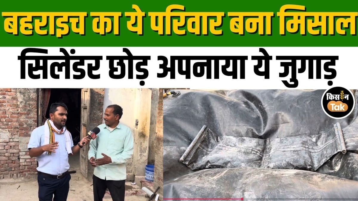 LPG की किल्लत और लंबी लाइनों से छुटकारा, घर पर बायोगैस प्लांट लगाकर किसानों ने निकाला समाधान