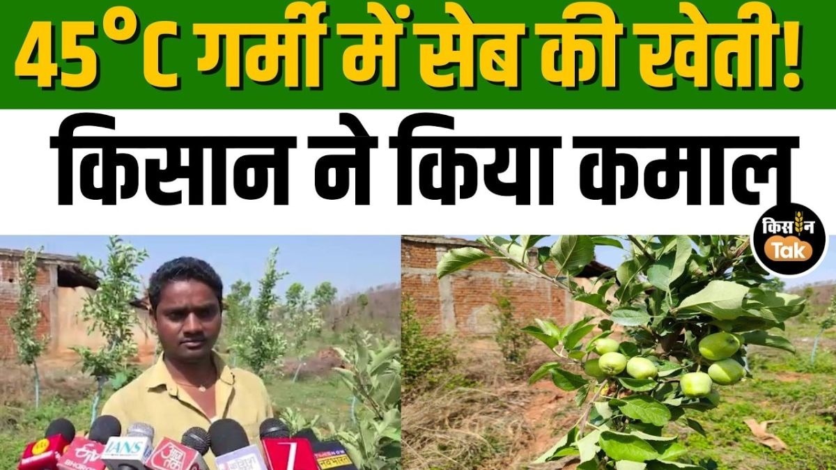 गर्म इलाके में ठंडे प्रदेश का फल! गढ़वा के किसान की अनोखी सफलता