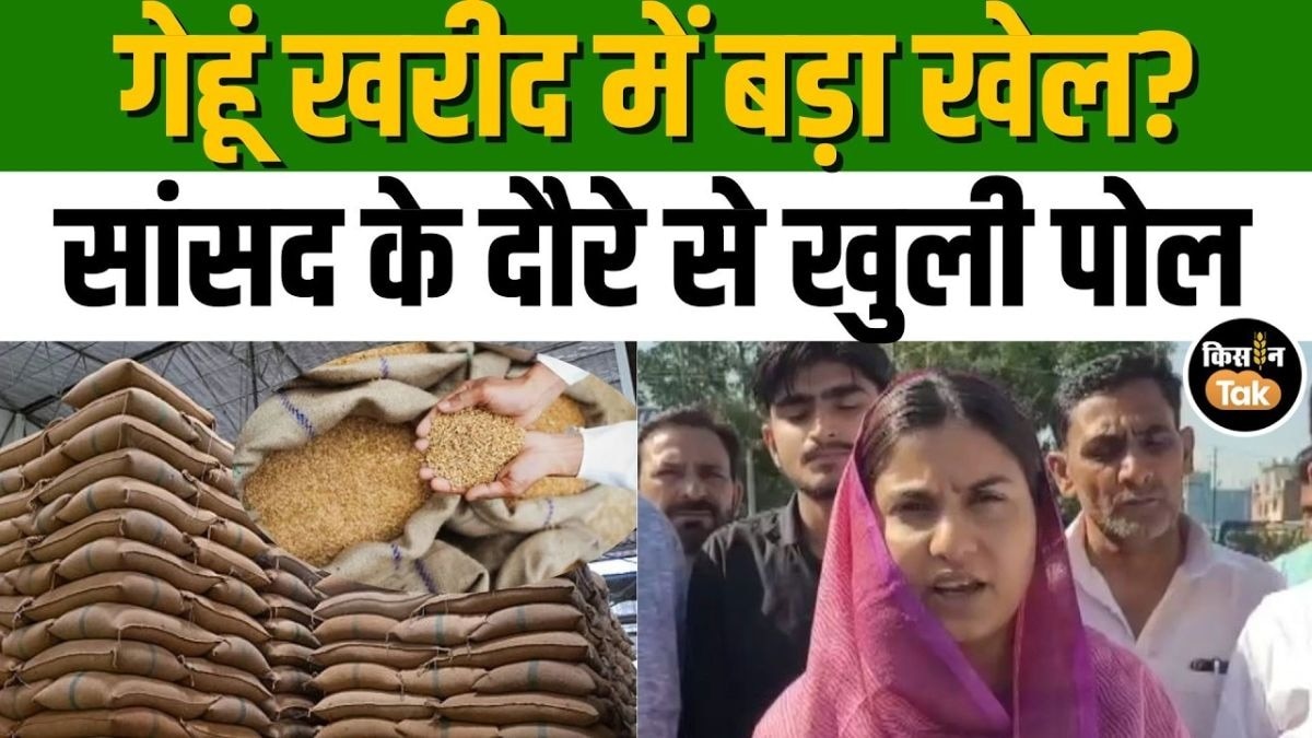 गेहूं खरीद केंद्र में हड़कंप