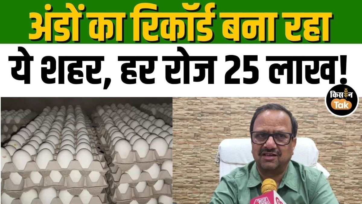 अंडा उत्पादन में नंबर-1 बना सहारनपुर, कई राज्यों से भारी डिमांड