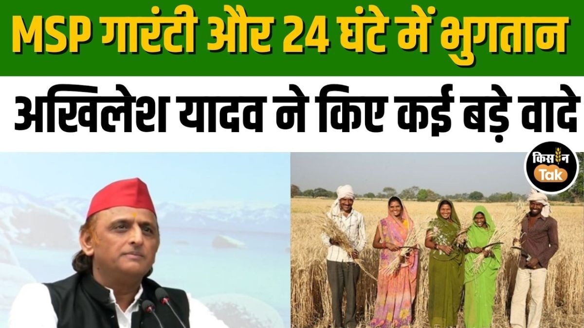 अखिलेश यादव 