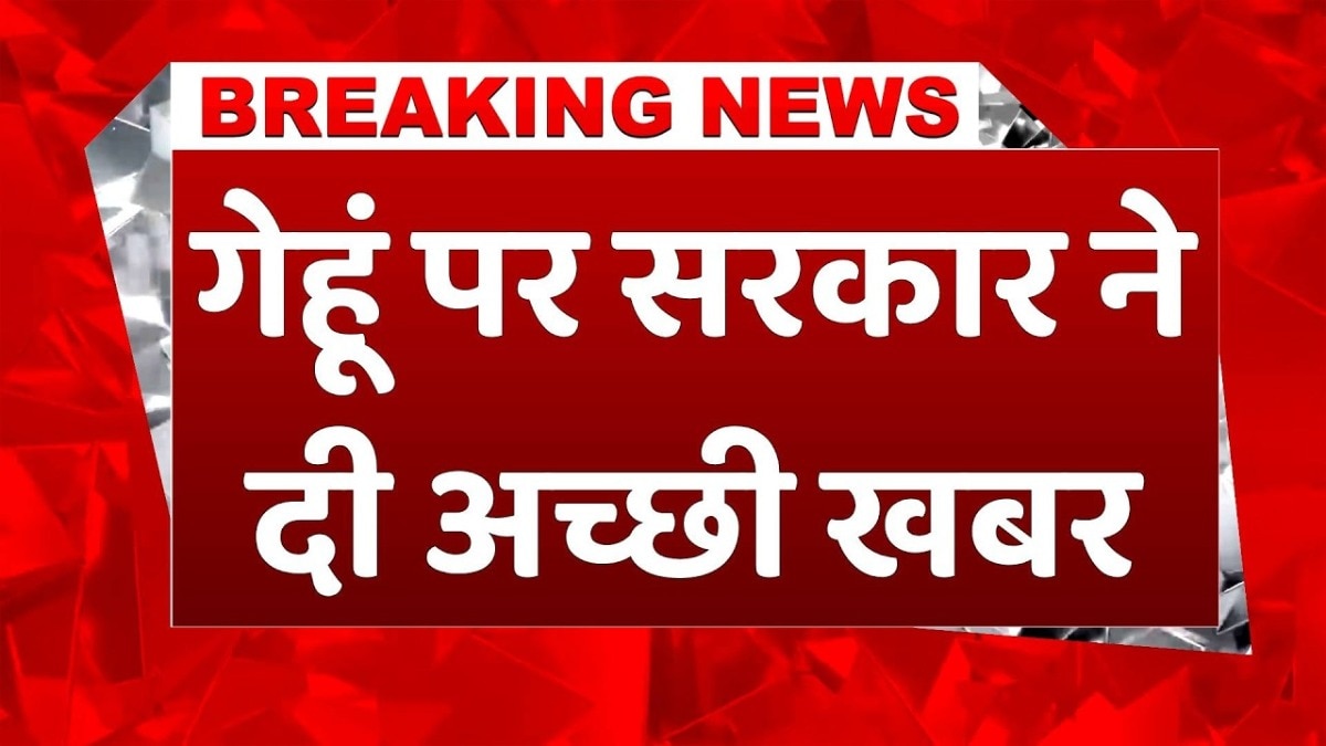गेहूं उत्पादन पर चिंता बेबुनियाद? सरकार बोली- खराब मौसम के बावजूद फसल सुरक्षित