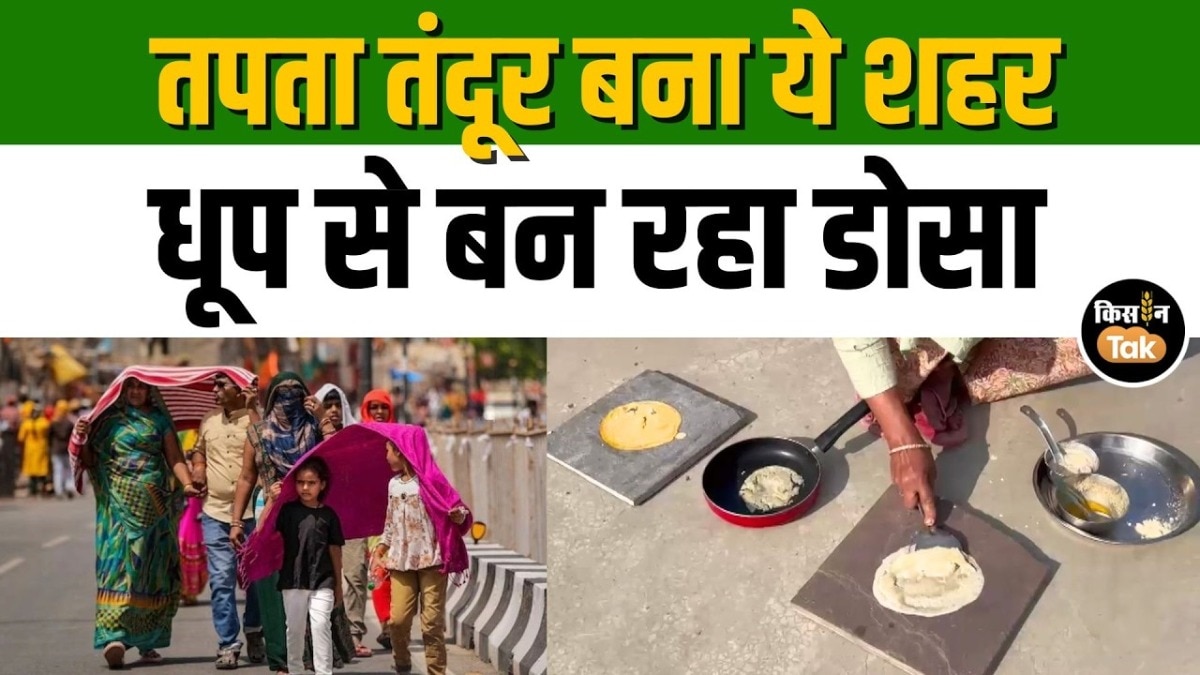 विदर्भ में ‘हीट डोम’ का कहर: अकोला-अमरावती बने तंदूर, 20 मिनट में पक रहा डोसा