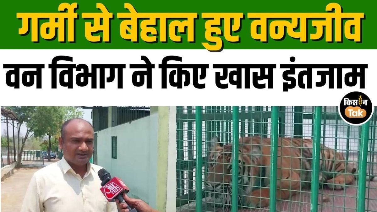 चंद्रपुर में भीषण गर्मी के बीच ट्रांजिट ट्रीटमेंट सेंटर में वन्यजीवों के लिए खास इंतजाम