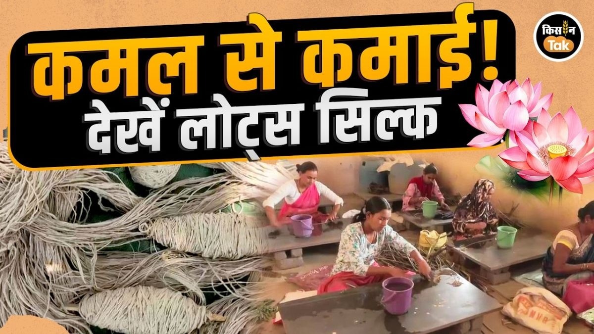 कमल रेशम