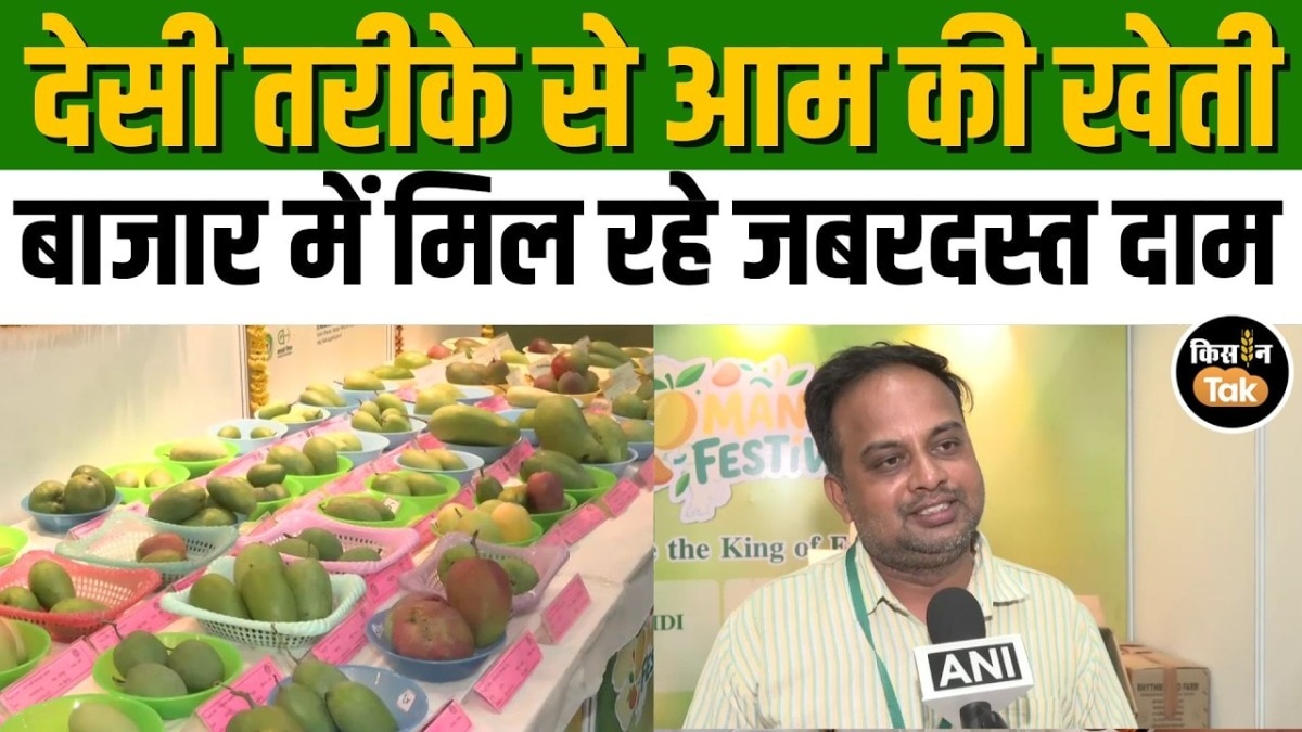 गुजरात में प्राकृतिक खेती से उगे देसी आम बने किसानों की कमाई का मजबूत सहारा