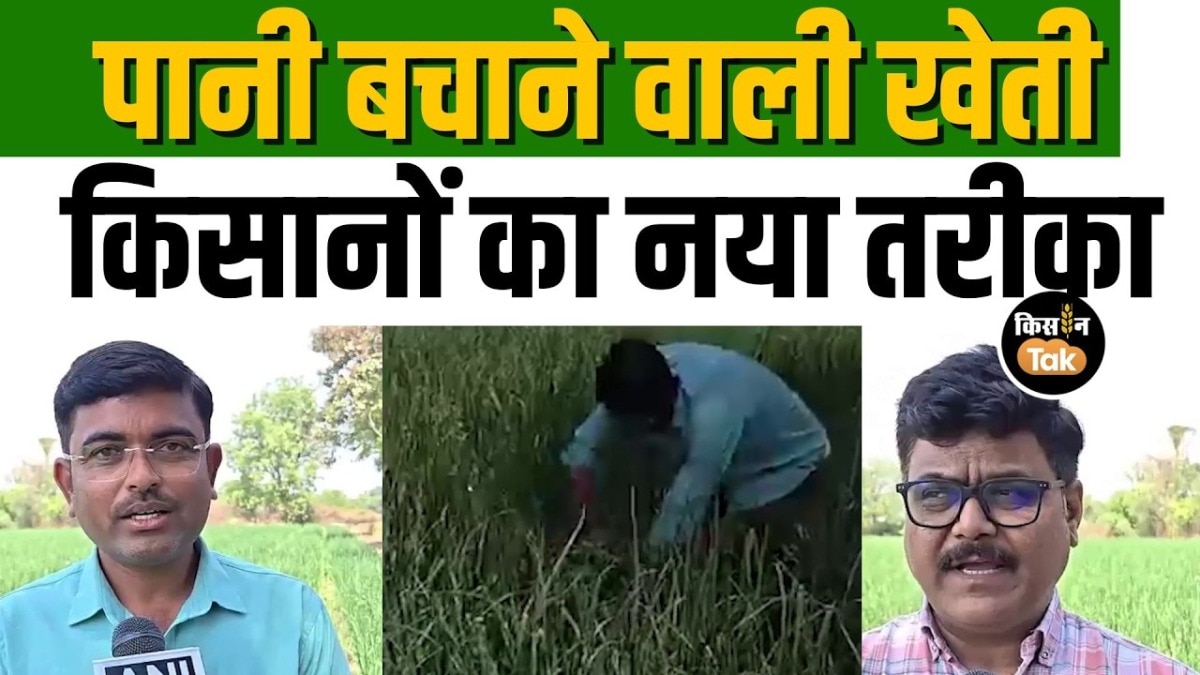 कम पानी में ज्यादा पैदावार: किसानों ने प्याज की खेती में अपनाई ये खास तकनीक