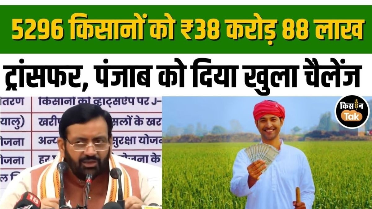 नायब सैनी