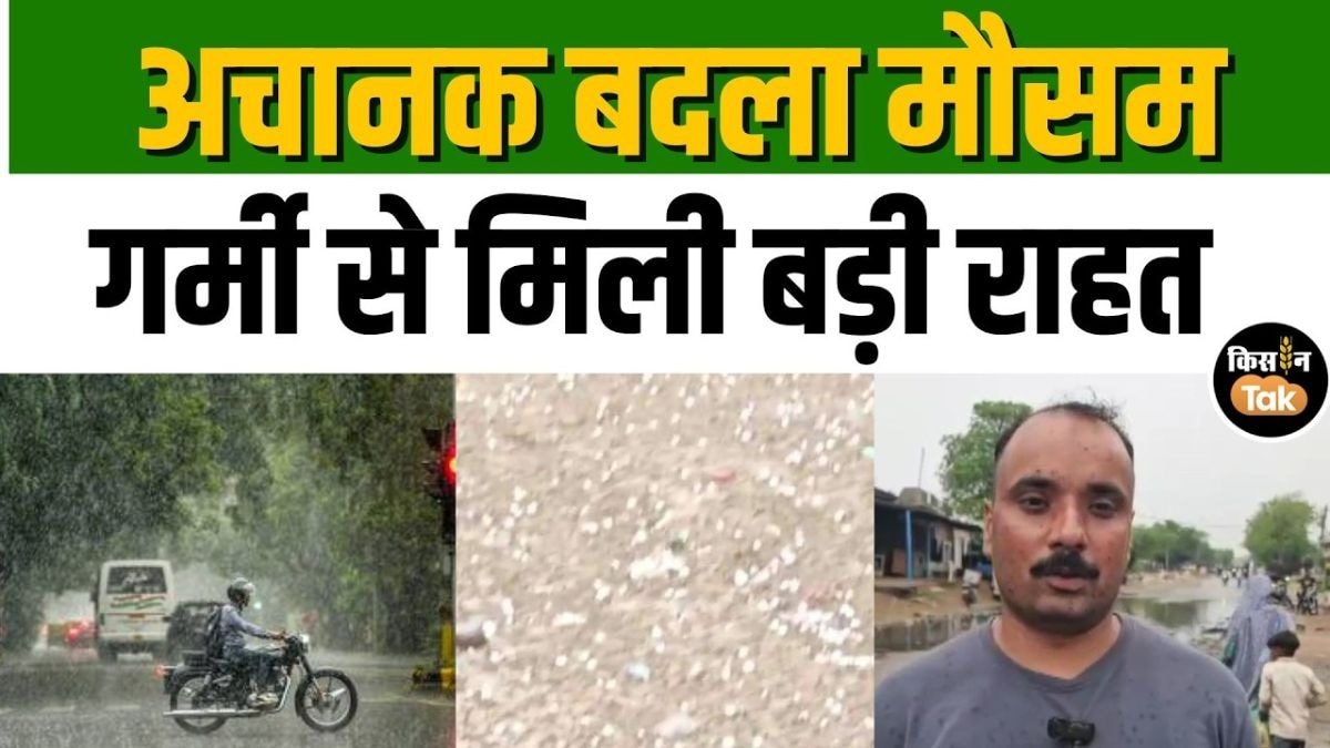 नूंह में अचानक बारिश और ओलावृष्टि से मौसम हुआ सुहावना