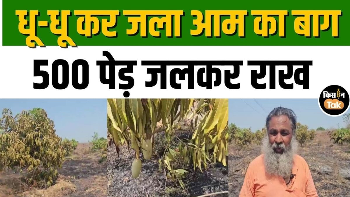 गिर सोमनाथ में भीषण आग कहर